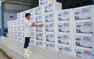 kỹ thuật nuôi tôm thẻ 5