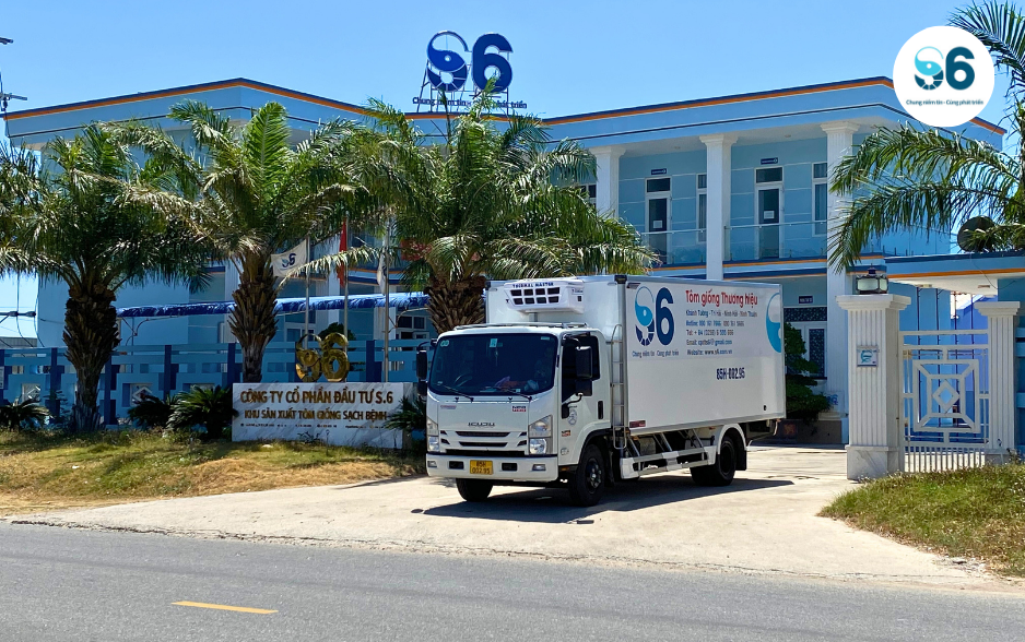 Tôm giống S6 sẵn sàng đồng hành cùng bà con trong mỗi vụ mùa