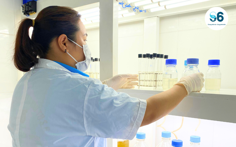 Tảo nuôi được kiểm tra sức khỏe thường xuyên thông qua đo đạc các thông số quang hợp