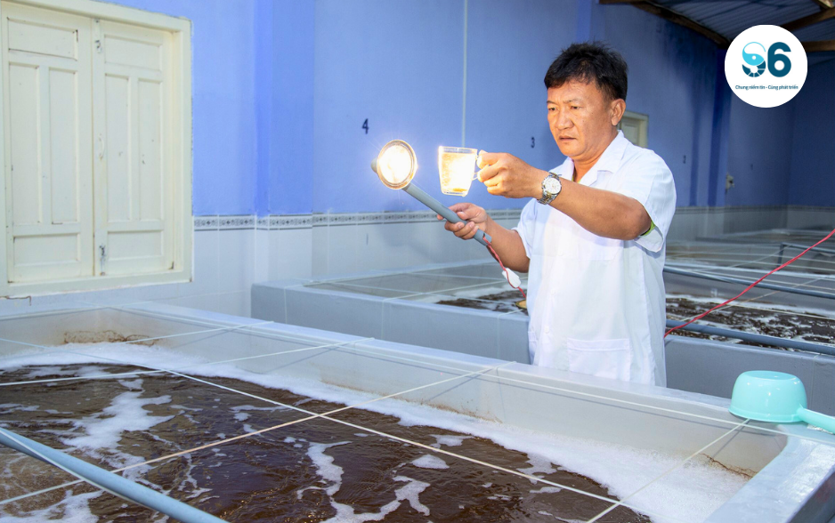 Kiểm tra chất lượng tôm giống mỗi ngày là điều kiện tiên quyết trước khi xuất giống về với bà con