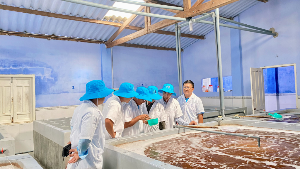 Đoàn khách thăm và chọn giống tại các trại có Bố Mẹ đạt chuẩn cao nhất