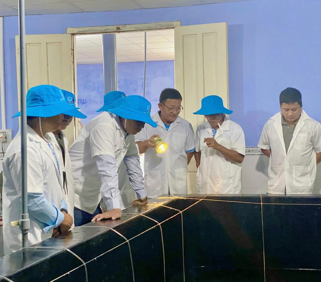 Tham quan nhà nuôi Tôm Bố Mẹ chuyên biệt