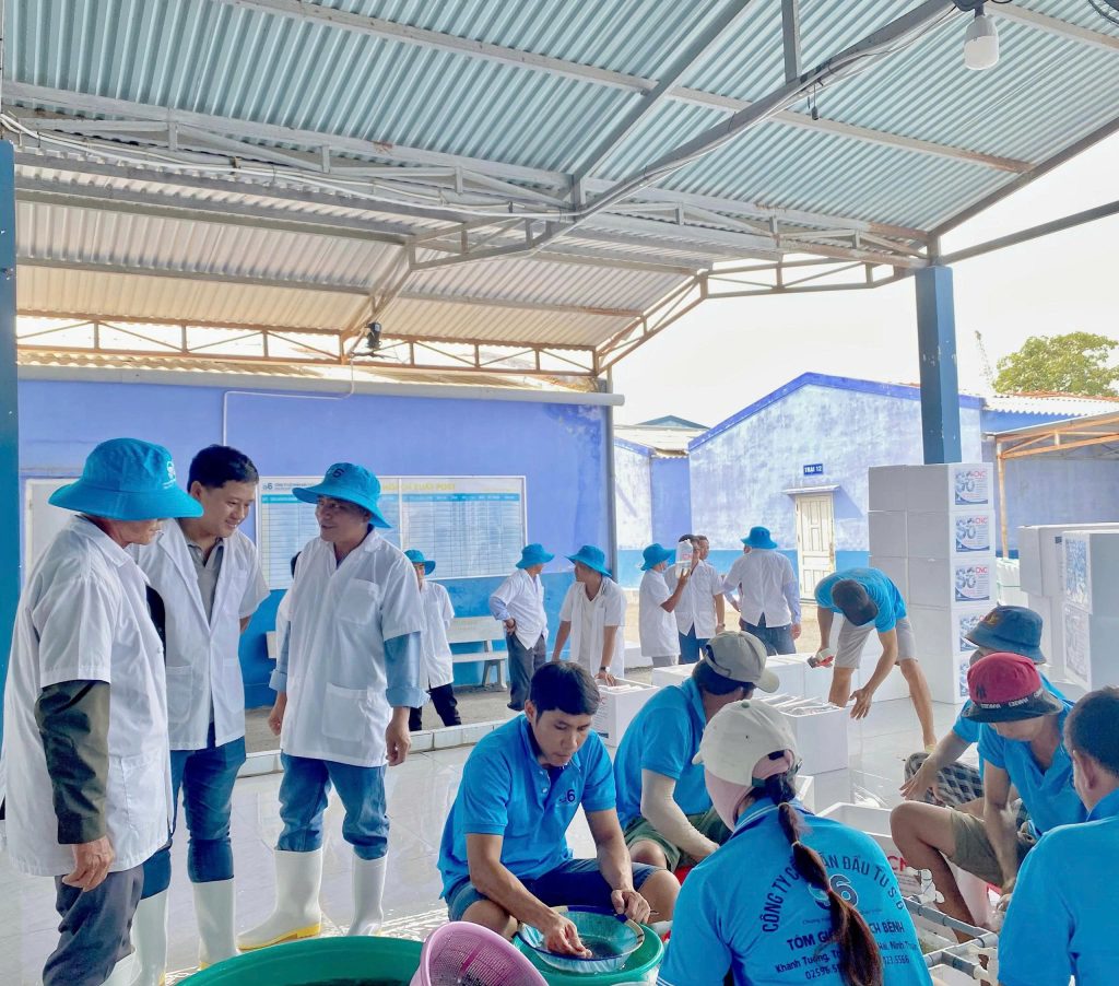 Quý khách hàng hài lòng, Tôm giống S6 an tâm