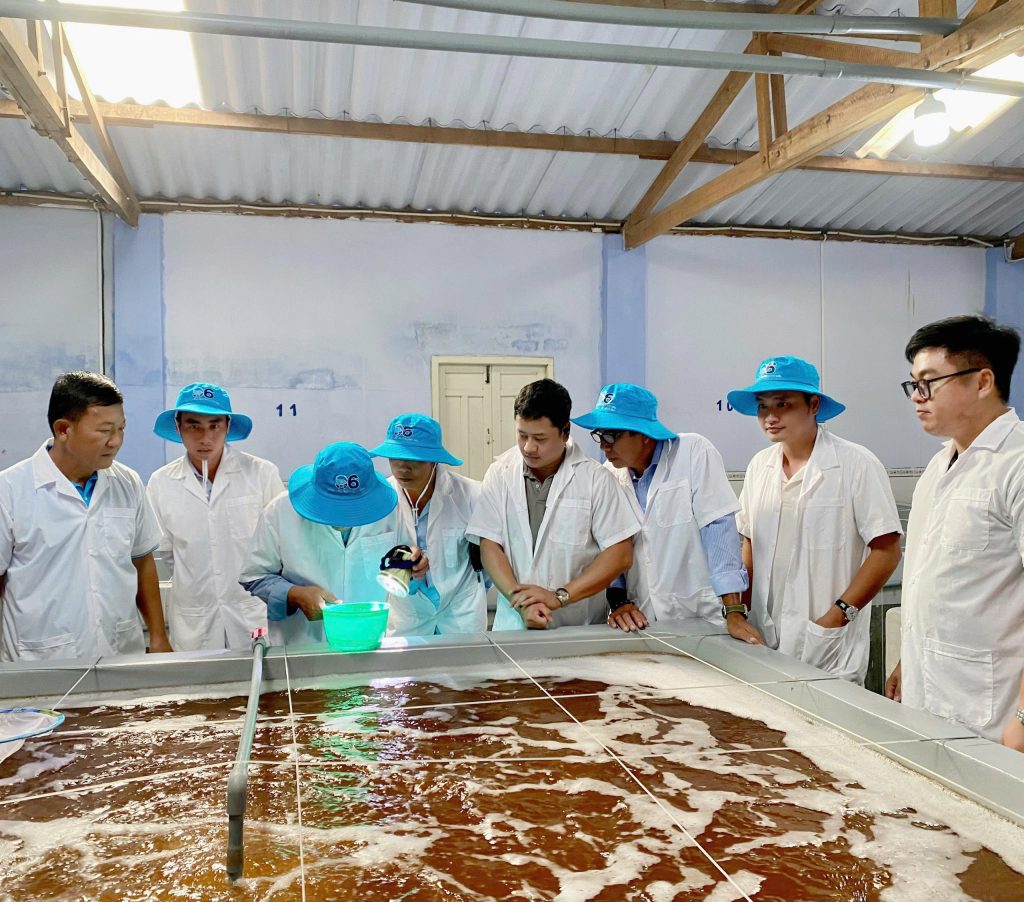 Khu kỹ thuật và khu sản xuất giống theo tiêu chuẩn an toàn sinh học Tôm giống S6