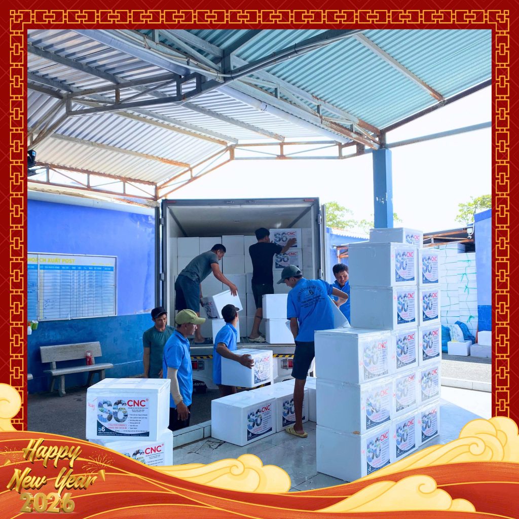 Chất lượng tôm giống S6 – Nền tảng cho mùa vụ thành công