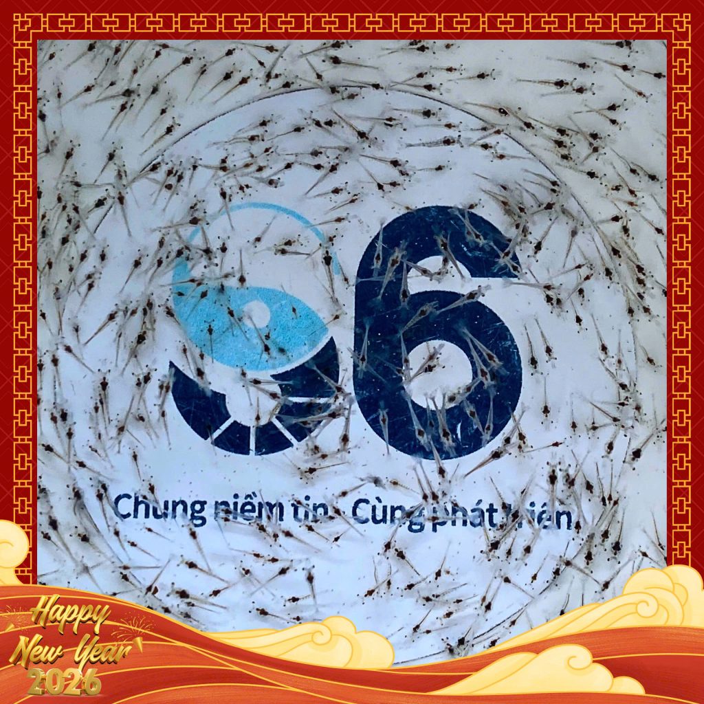 Cùng tôm giống S6 hướng đến mùa vụ mới thuận lợi, bền vững